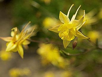 《死亡空间：重制版》开发者讨论该系列未来发展